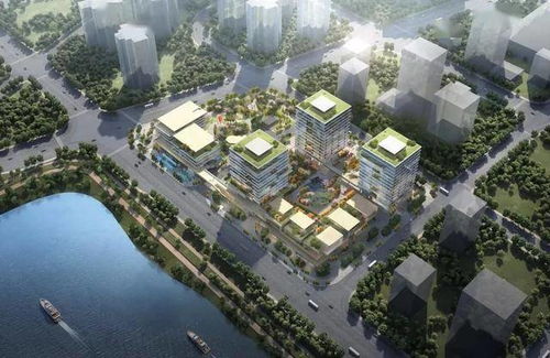 白云湖数字科技城再提速 新建三路贯通微循环，好榜漾科技展厅揭幕点亮产业新图景